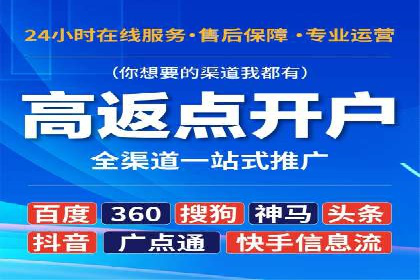 案例研究：关键词竞价排名实战技巧
